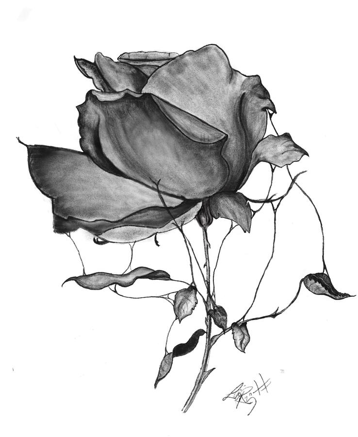 Lacrimosa